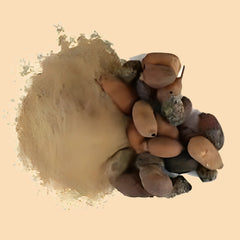 Jamun Seeds Powder