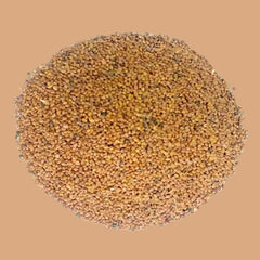 Fenugreek Seeds