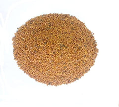 Fenugreek Seeds میتھی دانہ: Tiny Seed with Big Benefits