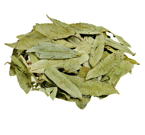 Seena Leaves سنا مکی کے پتے: Best for Detoxification