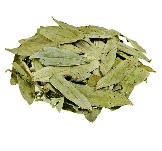 Seena Leaves سنا مکی کے پتے: Best for Detoxification