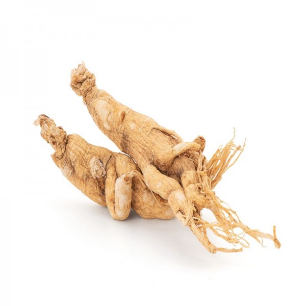 Ginseng