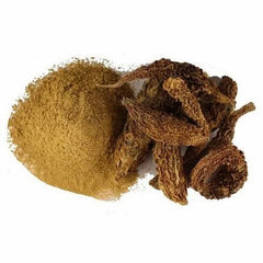 Karela Powder کریلا پاؤڈر